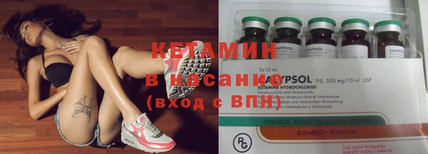 сатива Новодвинск