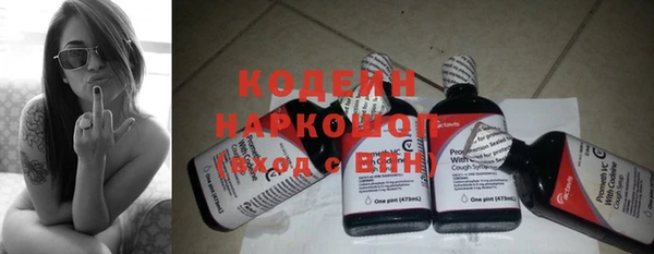 сатива Новодвинск