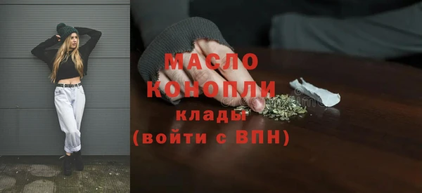 сатива Новодвинск