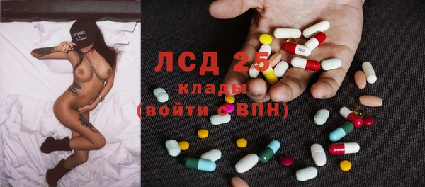 сатива Новодвинск