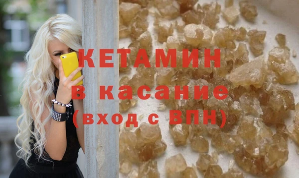 сатива Новодвинск