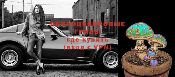 соль ск Няндома