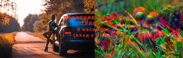 mdma Новозыбков