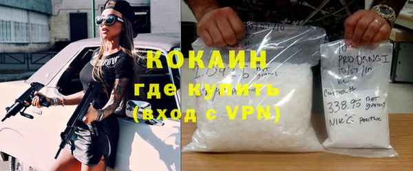 сатива Новодвинск