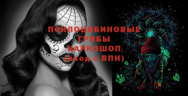 сатива Новодвинск