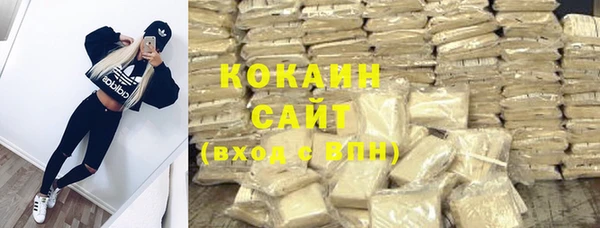 сатива Новодвинск