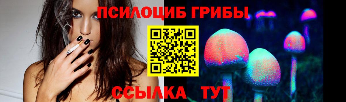 Галлюциногенные грибы Psilocybe Ртищево